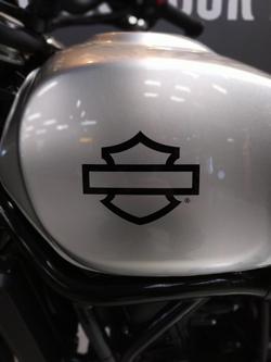 2024 Harley-Davidson X 500 X Silver