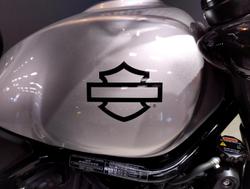 2024 Harley-Davidson X 500 X Silver