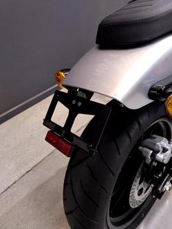 2024 Harley-Davidson X 500 X Silver