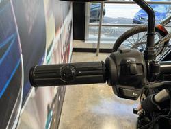 2017 Harley-Davidson Street 500 (XG500) Street Black