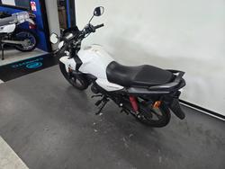 2023 Honda CB125F (CBF125) White
