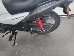 2023 Honda CB125F (CBF125) White