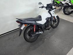 2023 Honda CB125F (CBF125) White