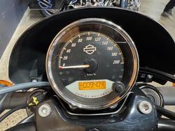 2020 Harley-davidson XG500 STREET 500 Black