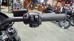 2024 HARLEY-DAVIDSON FXLRS LOW RIDER S (117)