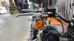 2024 HARLEY-DAVIDSON FXLRS LOW RIDER S (117)