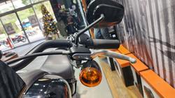 2024 HARLEY-DAVIDSON FXLRS LOW RIDER S (117)