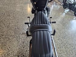 2025 Harley-Davidson Street Bob 117 (FXBB)