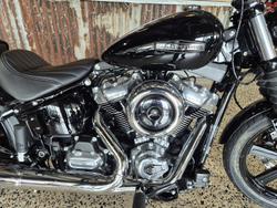 2025 Harley-Davidson Street Bob 117 (FXBB)