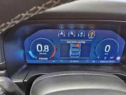 2024 Ford Everest Platinum MY24.50 4X4 Dual Range Arctic White