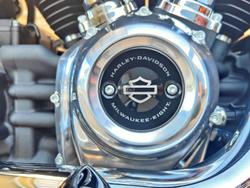 2023 HARLEY-DAVIDSON SOFTAIL STANDARD 107 (FXST) ROAD BLACK