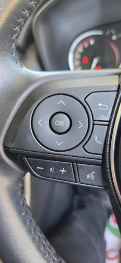 2020 Toyota RAV4 Cruiser