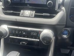 2021 Toyota RAV4 Cruiser