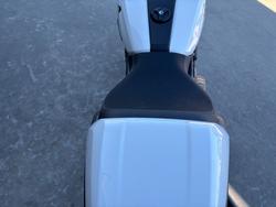 2023 Indian FTR SPORT