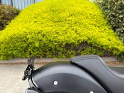 2024 Indian SPORT CHIEF Black