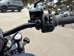 2024 Indian CHIEF DARK HORSE