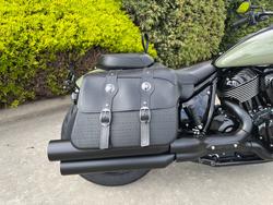 2025 Indian SUPER CHIEF DARK HORSE Green