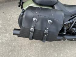 2025 Indian SUPER CHIEF DARK HORSE Green