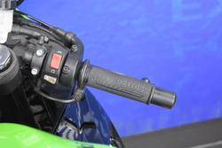 2019 Kawasaki NINJA ZX-6R (ABS) KRT REPLICA Green