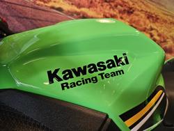2025 Kawasaki Ninja 500 SE KRT Edition (EX500J) Ninja Green