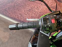 2025 Kawasaki Ninja 500 SE KRT Edition (EX500J) Ninja Green