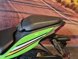 2025 Kawasaki Ninja 500 SE KRT Edition (EX500J) Ninja Green