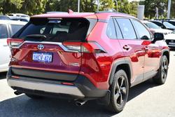 2020 Toyota RAV4 Cruiser