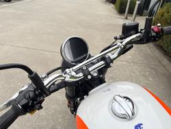 2025 Royal Enfield 2025 650CC INTERCEPTOR BEAR 650 Road White