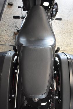 2021 Harley-davidson FLSB SPORT GLIDE VIVID BLACK