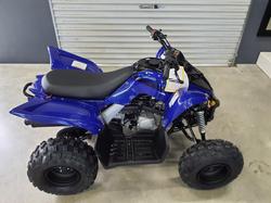 2025 Yamaha Raptor 110 (YFM110R) Raptor Blue
