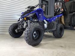 2025 Yamaha Raptor 110 (YFM110R) Raptor Blue