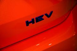 2025 GWM Haval H7 Vanta Hybrid