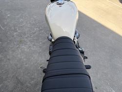 2026 Royal Enfield BEAR 650