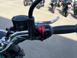 2026 Royal Enfield BEAR 650