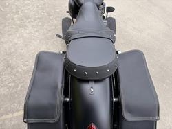 2019 Indian CHIEF DARK HORSE ThunderBLACKSmoke