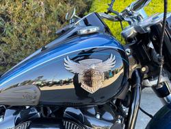 2018 HARLEY-DAVIDSON FLFBS_ANV FAT BOY ANNV Blue