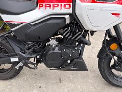 2024 CFMOTO 2024 Cf Moto 125CC PAPIO XO RACER Red