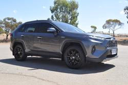 2021 Toyota RAV4 Cruiser