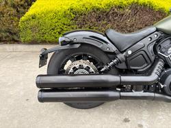 2023 Indian SCOUT ROGUE Green