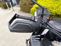 2024 Triumph TIGER 1200 GT PRO Black