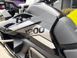 2024 Triumph TIGER 1200 GT PRO Black