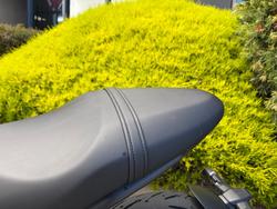 2022 Triumph TRIDENT 660