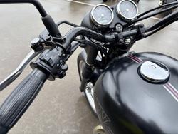 2019 Kawasaki W800 STREET (EJ800) Black