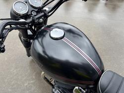 2019 Kawasaki W800 STREET (EJ800) Black