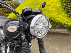 2019 Kawasaki W800 STREET (EJ800) Black