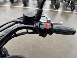 2019 Kawasaki W800 STREET (EJ800) Black