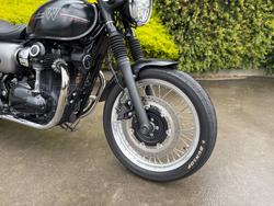 2019 Kawasaki W800 STREET (EJ800) Black