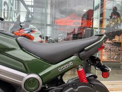 2024 Honda NVA110 NAVI GREEN