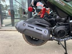 2024 Honda NVA110 NAVI GREEN