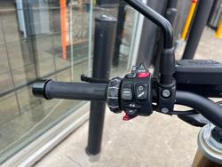 2024 BMW Motorrad R 1250 R BLUE